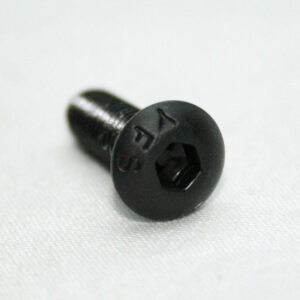 13FA3128_5__editedjpg | Faztek Industrial Solutions Close-up of a small black hex socket cap screw (Allen bolt) on a white surface.