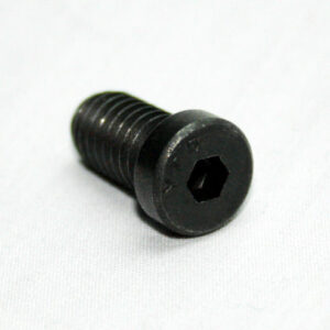 13FA3354_5__editedjpg | Faztek Industrial Solutions Black hex socket cap screw on a white surface, showing threaded shaft and recessed hex head.