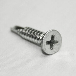 Close-up of a silver Phillips-head screw resting on a white surface