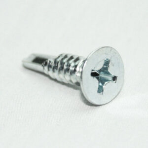 Close-up of a silver Phillips-head screw on a white background, showing the threaded shank and flat head.